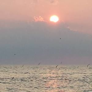 Meet your Posher, Jane